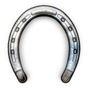 High Quality Horse Shoes