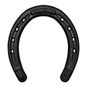 Basic Horse Shoes